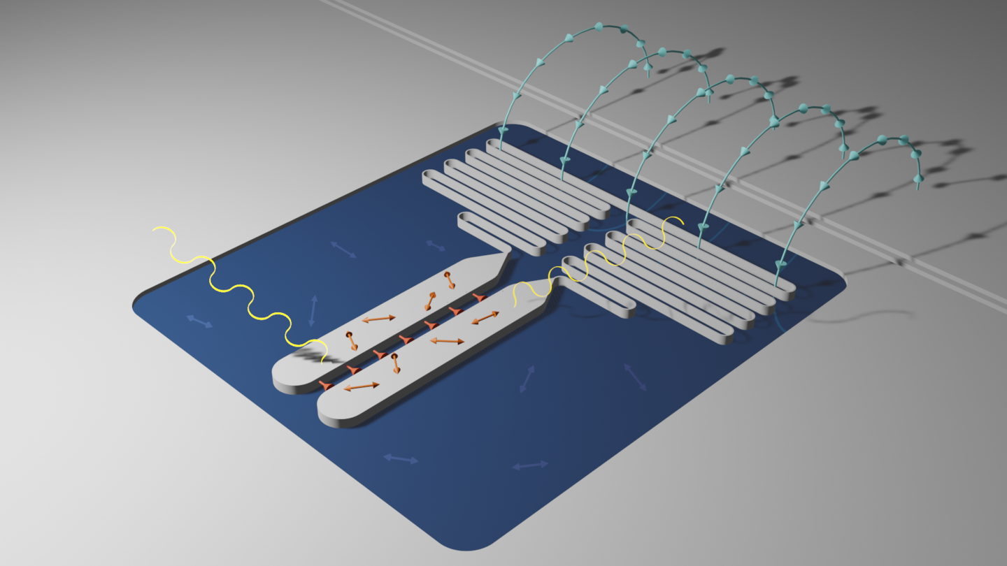 Disentangling Losses in Tantalum Superconducting Circuits